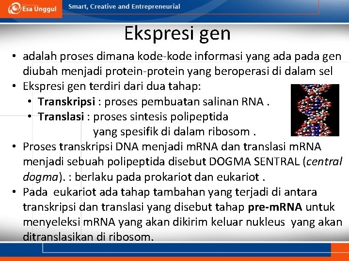 Ekspresi gen • adalah proses dimana kode-kode informasi yang ada pada gen diubah menjadi