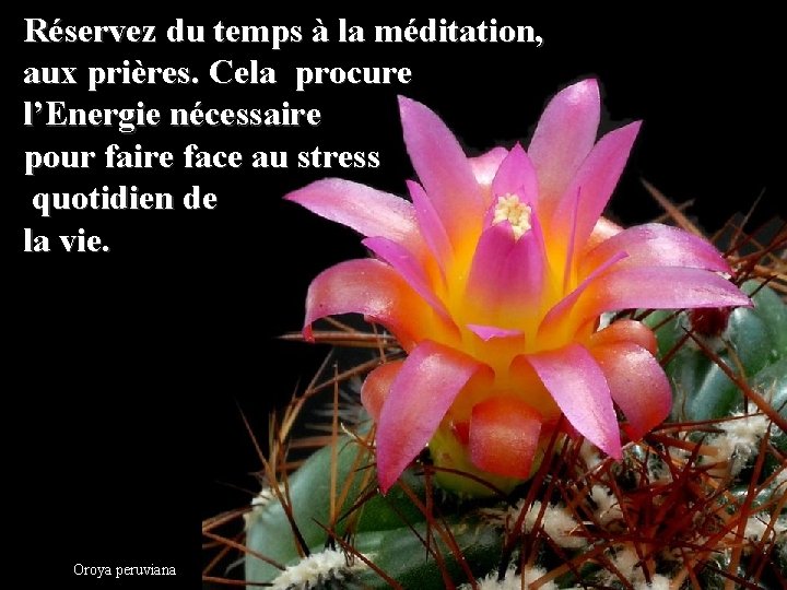 Réservez du temps à la méditation, aux prières. Cela procure l’Energie nécessaire pour faire