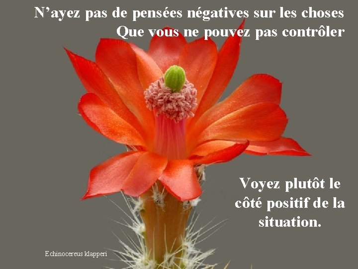 N’ayez pas de pensées négatives sur les choses Que vous ne pouvez pas contrôler