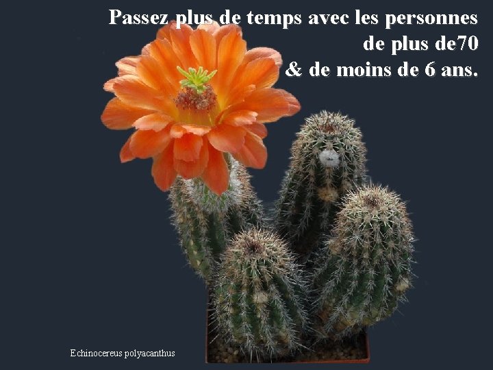 Passez plus de temps avec les personnes de plus de 70 & de moins