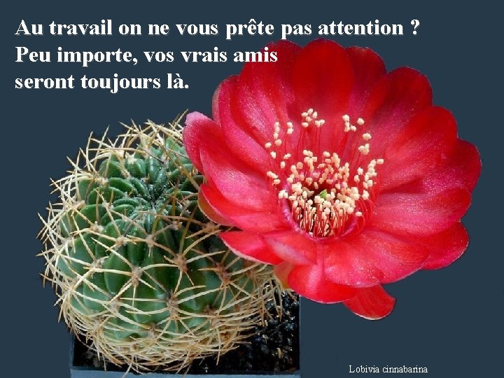 Au travail on ne vous prête pas attention ? Peu importe, vos vrais amis