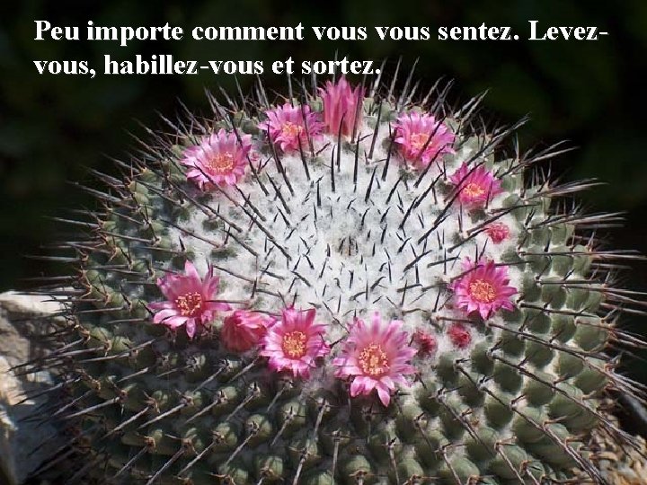 Peu importe comment vous sentez. Levezvous, habillez-vous et sortez. 