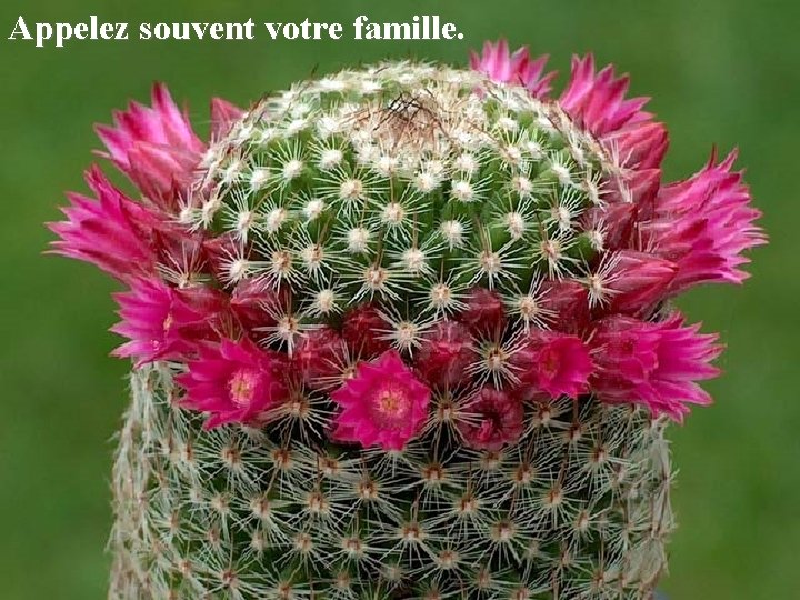 Appelez souvent votre famille. 
