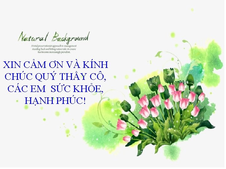 XIN CẢM ƠN VÀ KÍNH CHÚC QUÝGIỜ THẦY HỌCCÔ, KẾT THÚC CÁC EM SỨC XIN CẢM ƠN VÀ KÍNH CHÚC QUÝGIỜ THẦY HỌCCÔ, KẾT THÚC CÁC EM SỨC