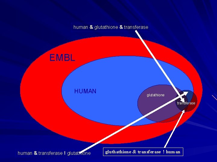 human & glutathione & transferase EMBL HUMAN glutathione transferase human & transferase ! glutathione