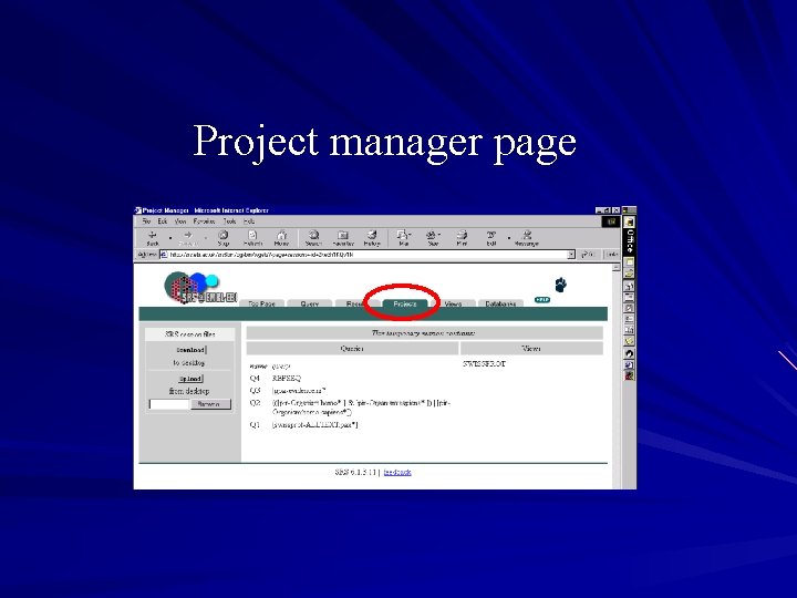 Project manager page 