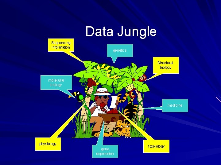 Data Jungle Sequencing information genetics Structural biology molecular biology medicine physiology gene expression toxicology