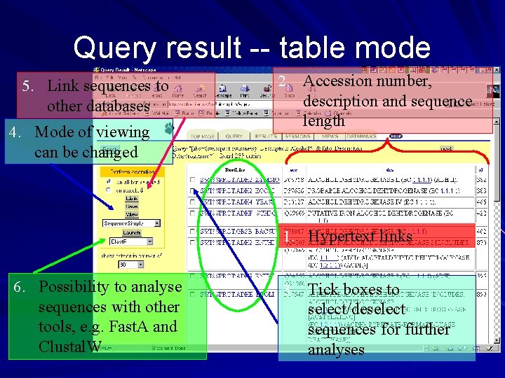 Query result -- table mode 5. Link sequences to other databases 4. Mode of