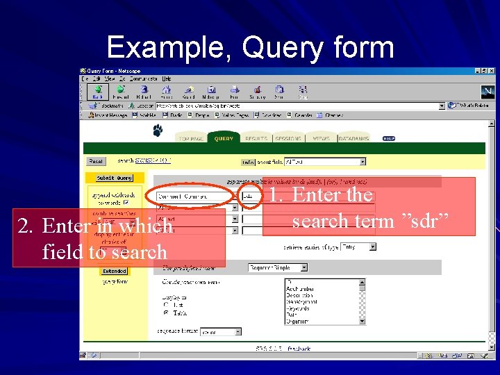 Example, Query form 2. Enter in which field to search 1. Enter the search