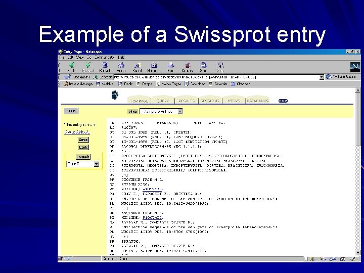 Example of a Swissprot entry 