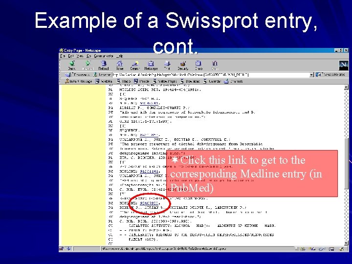 Example of a Swissprot entry, cont. ¬Click this link to get to the corresponding Example of a Swissprot entry, cont. ¬Click this link to get to the corresponding