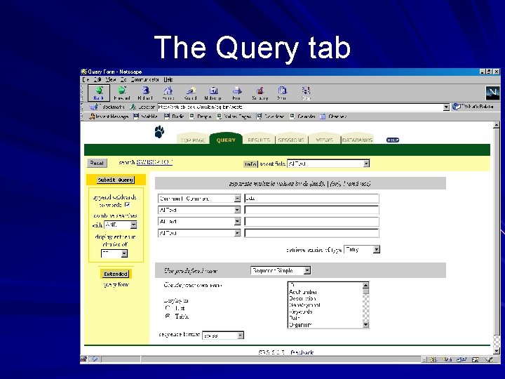 The Query tab 