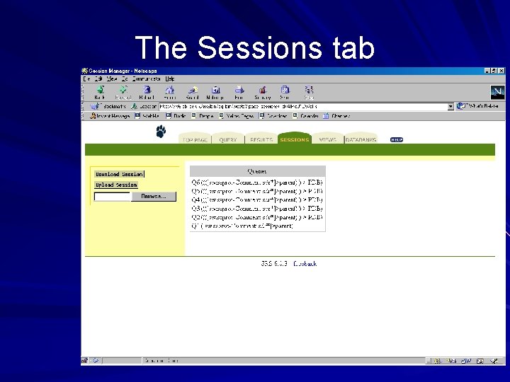 The Sessions tab 