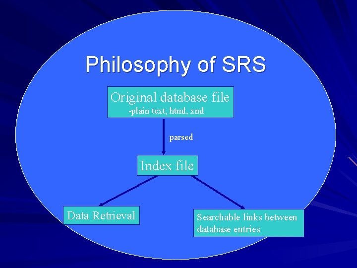 Philosophy of SRS Original database file -plain text, html, xml parsed Index file Data