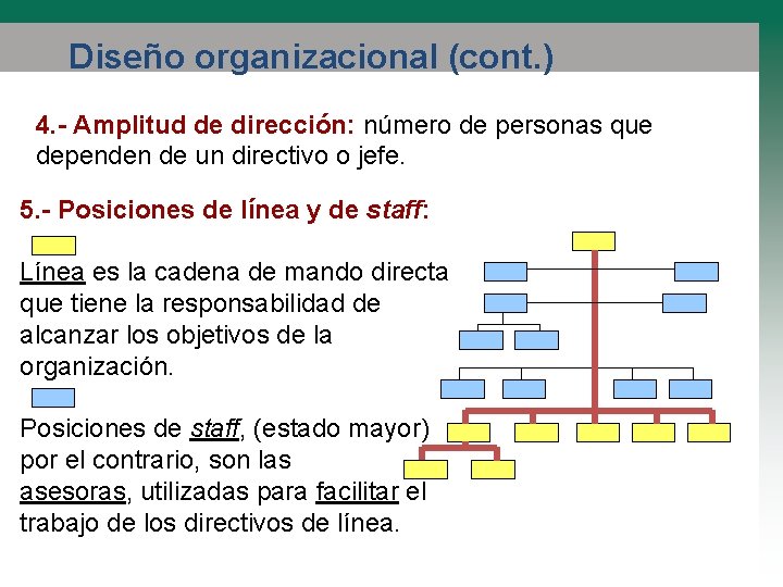 Diseño organizacional (cont. ) 4. - Amplitud de dirección: número de personas que dependen