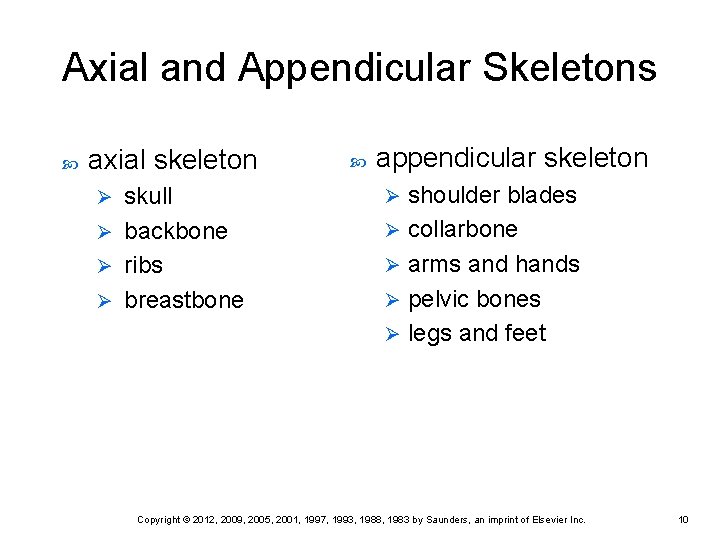 Axial and Appendicular Skeletons axial skeleton skull Ø backbone Ø ribs Ø breastbone Ø Axial and Appendicular Skeletons axial skeleton skull Ø backbone Ø ribs Ø breastbone Ø