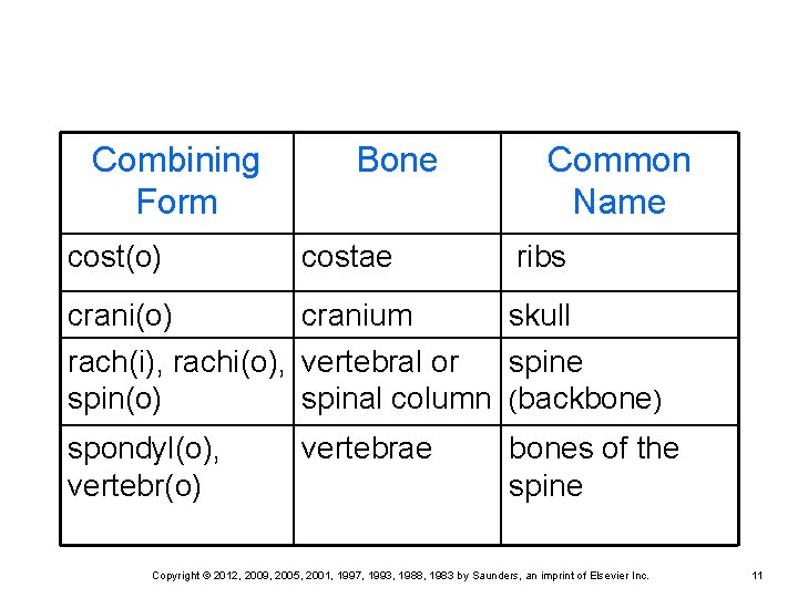 Combining Form Bone Common Name cost(o) costae ribs crani(o) cranium skull rach(i), rachi(o), vertebral Combining Form Bone Common Name cost(o) costae ribs crani(o) cranium skull rach(i), rachi(o), vertebral