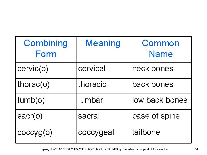 Combining Form Meaning Common Name cervic(o) cervical neck bones thorac(o) thoracic back bones lumb(o) Combining Form Meaning Common Name cervic(o) cervical neck bones thorac(o) thoracic back bones lumb(o)