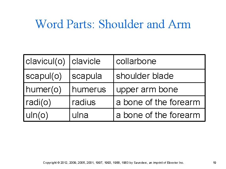 Word Parts: Shoulder and Arm clavicul(o) clavicle collarbone scapul(o) scapula shoulder blade humer(o) radi(o) Word Parts: Shoulder and Arm clavicul(o) clavicle collarbone scapul(o) scapula shoulder blade humer(o) radi(o)