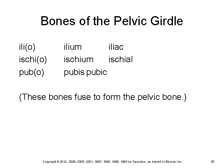 Bones of the Pelvic Girdle ili(o) ischi(o) pub(o) ilium iliac ischium ischial pubis pubic Bones of the Pelvic Girdle ili(o) ischi(o) pub(o) ilium iliac ischium ischial pubis pubic