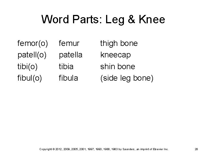 Word Parts: Leg & Knee femor(o) patell(o) tibi(o) fibul(o) femur patella tibia fibula thigh Word Parts: Leg & Knee femor(o) patell(o) tibi(o) fibul(o) femur patella tibia fibula thigh
