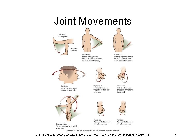 Joint Movements Copyright © 2012, 2009, 2005, 2001, 1997, 1993, 1988, 1983 by Saunders, Joint Movements Copyright © 2012, 2009, 2005, 2001, 1997, 1993, 1988, 1983 by Saunders,