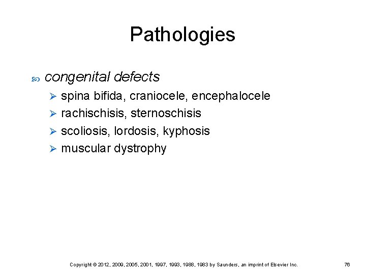 Pathologies congenital defects spina bifida, craniocele, encephalocele Ø rachisis, sternoschisis Ø scoliosis, lordosis, kyphosis Pathologies congenital defects spina bifida, craniocele, encephalocele Ø rachisis, sternoschisis Ø scoliosis, lordosis, kyphosis