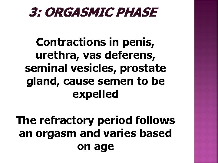 3: ORGASMIC PHASE Contractions in penis, urethra, vas deferens, seminal vesicles, prostate gland, cause