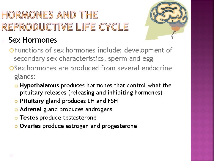  Sex Hormones Functions of sex hormones include: development of secondary sex characteristics, sperm