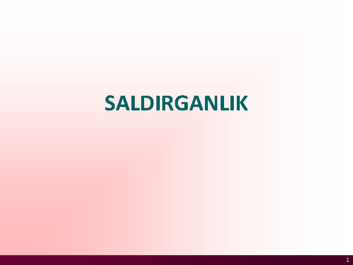 SALDIRGANLIK 1 