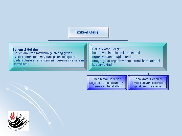Fiziksel Gelişim Bedensel Gelişim -Beden oranında meydana gelen değişimler -fiziksel görünümde meydana gelen değişimler