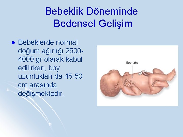 Bebeklik Döneminde Bedensel Gelişim l Bebeklerde normal doğum ağırlığı 25004000 gr olarak kabul edilirken,