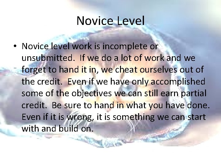 Novice Level • Novice level work is incomplete or unsubmitted. If we do a