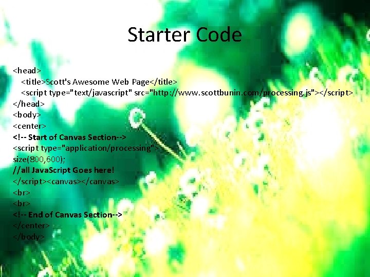 Starter Code <head> <title>Scott's Awesome Web Page</title> <script type="text/javascript" src="http: //www. scottbunin. com/processing. js"></script>