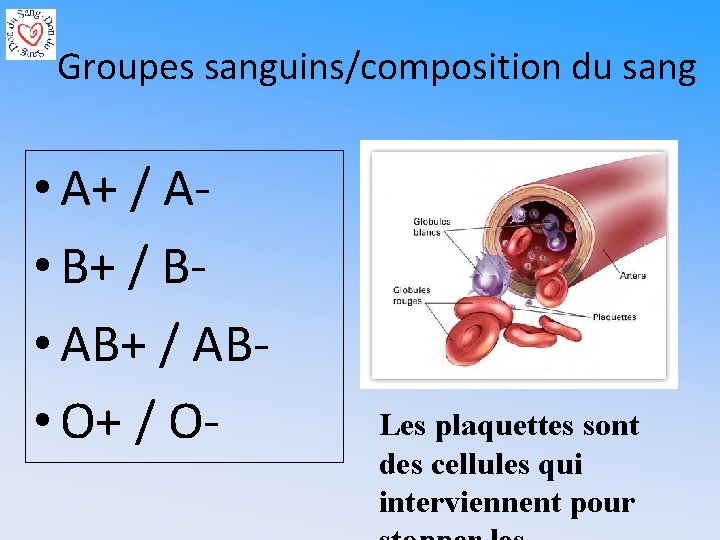 Groupes sanguins/composition du sang • A+ / A • B+ / B • AB+