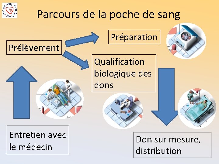 Parcours de la poche de sang Prélèvement Préparation Qualification biologique des dons Entretien avec