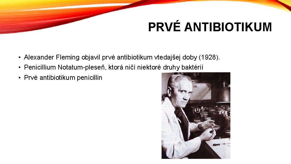 PRVÉ ANTIBIOTIKUM • Alexander Fleming objavil prvé antibiotikum vtedajšej doby (1928). • Penicillium Notatum-pleseň, PRVÉ ANTIBIOTIKUM • Alexander Fleming objavil prvé antibiotikum vtedajšej doby (1928). • Penicillium Notatum-pleseň,