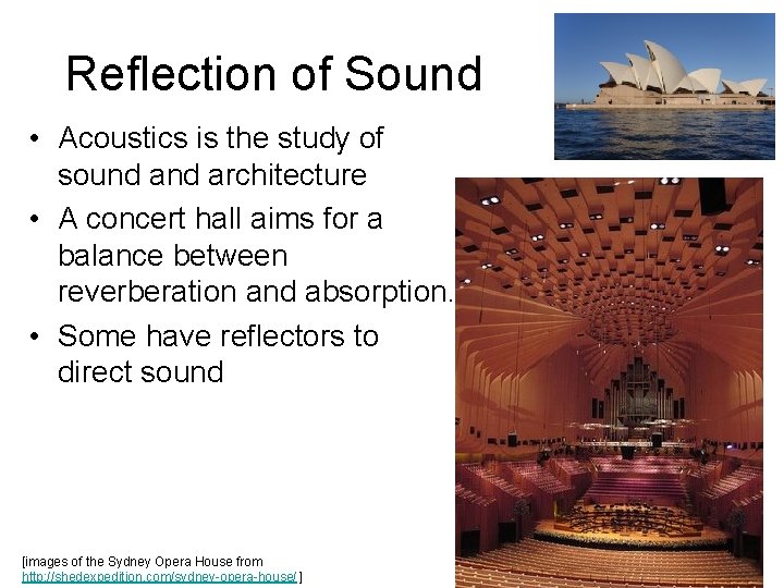 Reflection of Sound • Acoustics is the study of sound architecture • A concert