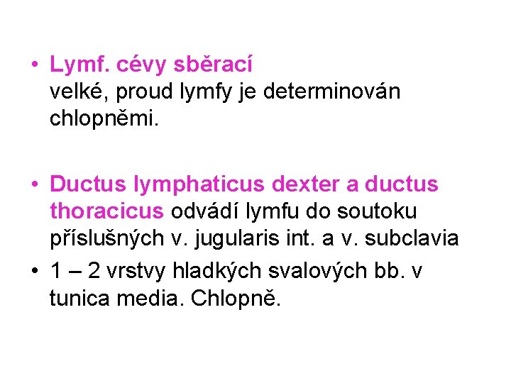  • Lymf. cévy sběrací velké, proud lymfy je determinován chlopněmi. • Ductus lymphaticus