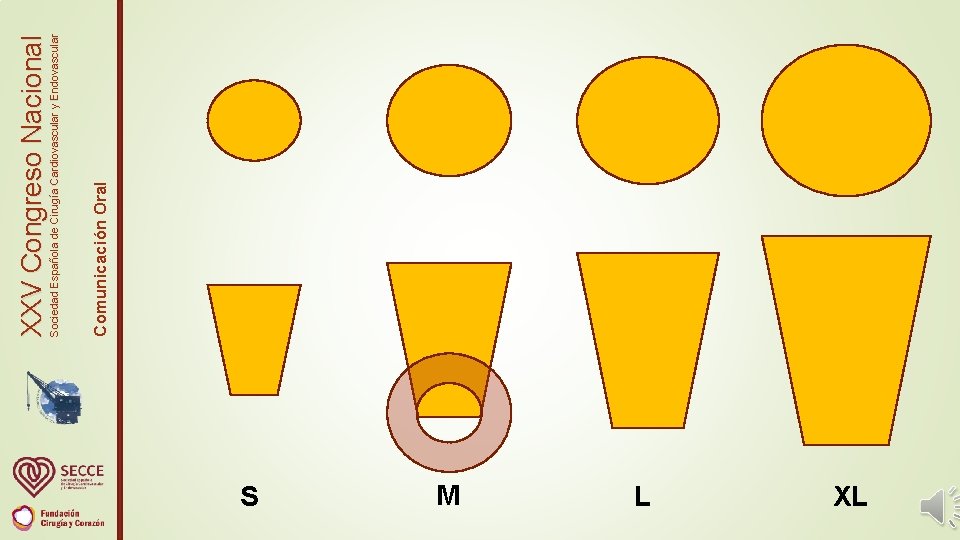 S M L XL Comunicación Oral Sociedad Española de Cirugía Cardiovascular y Endovascular XXV