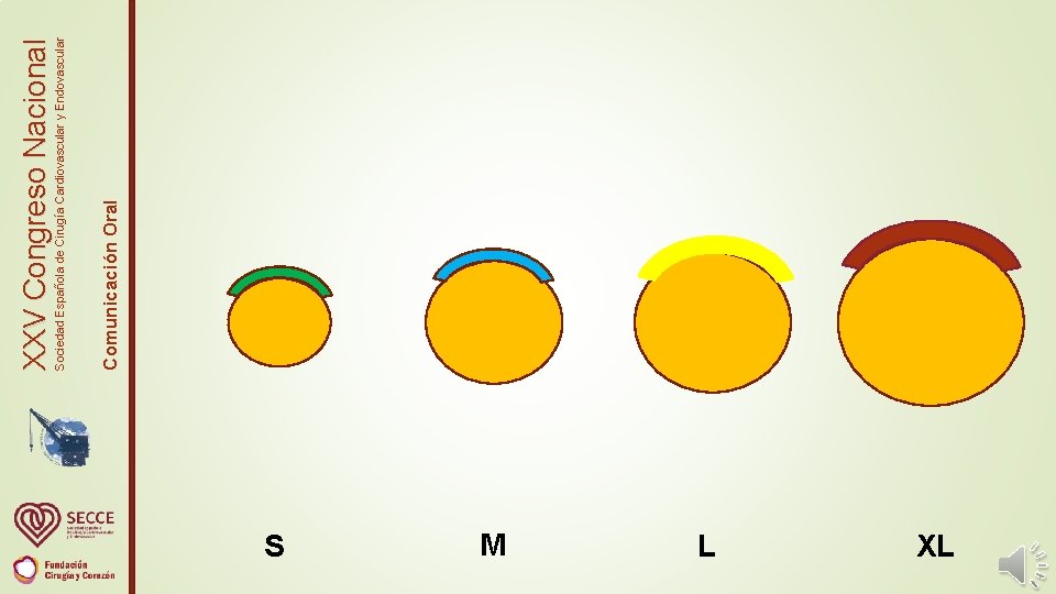 S M L XL Comunicación Oral Sociedad Española de Cirugía Cardiovascular y Endovascular XXV