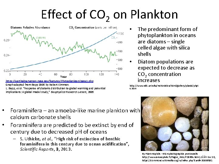 Effect of CO 2 on Plankton • • https: //earthobservatory. nasa. gov/features/Phytoplankton/page 1. php