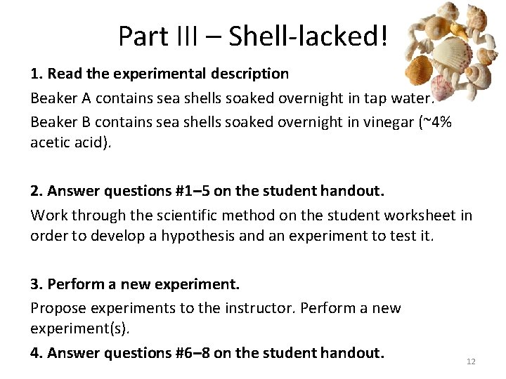 Part III – Shell-lacked! 1. Read the experimental description Beaker A contains sea shells