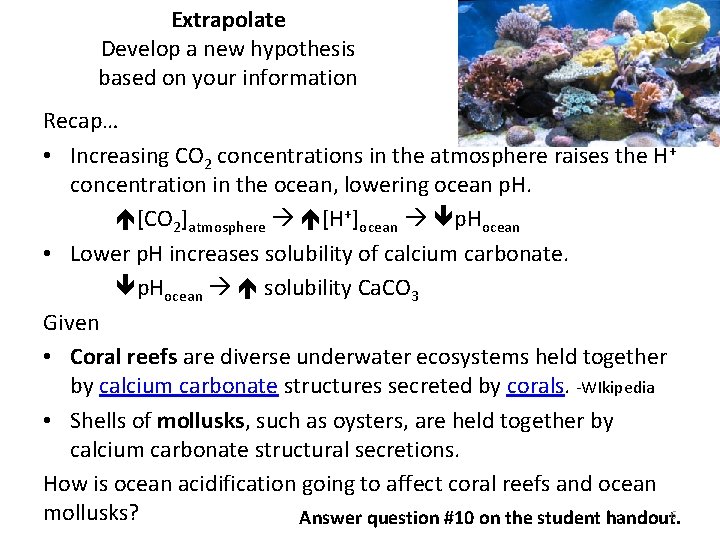 Extrapolate Develop a new hypothesis based on your information Recap… • Increasing CO 2