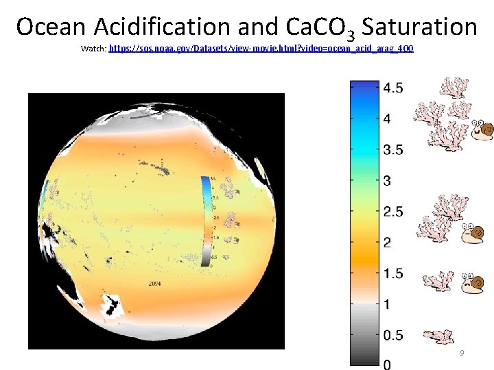 Ocean Acidification and Ca. CO 3 Saturation Watch: https: //sos. noaa. gov/Datasets/view-movie. html? video=ocean_acid_arag_400