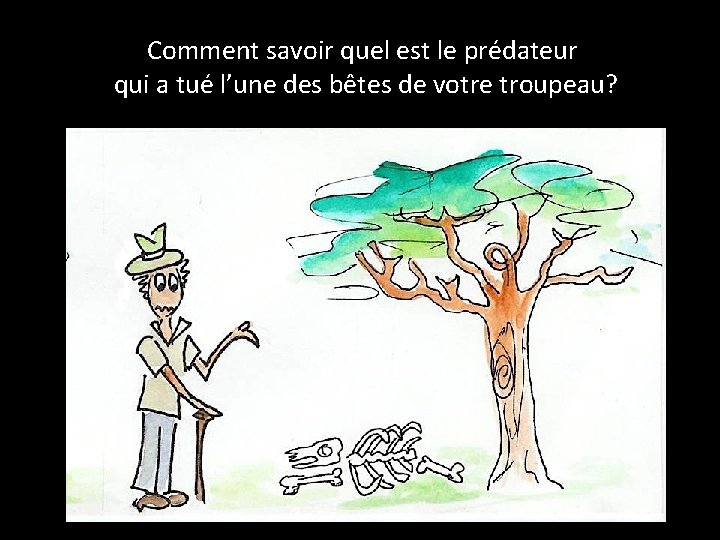 Comment savoir quel est le prédateur qui a tué l’une des bêtes de votre