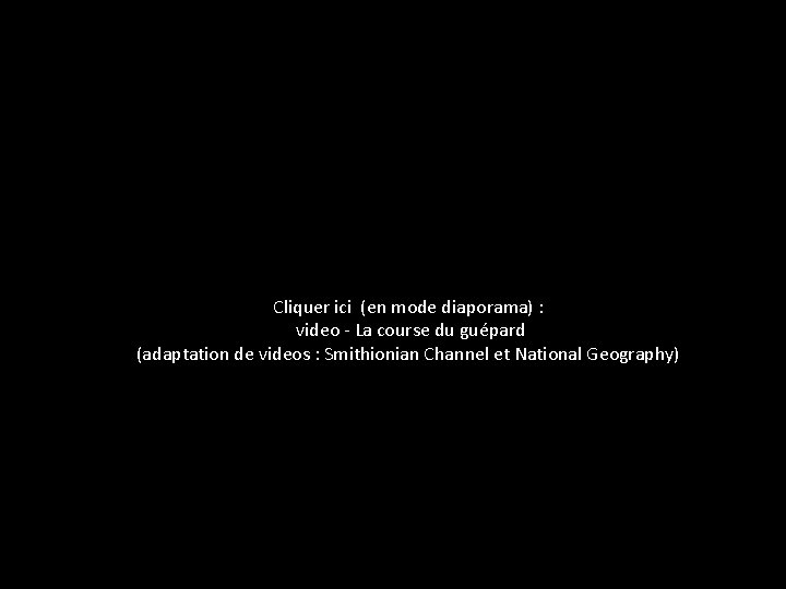 Cliquer ici (en mode diaporama) : video - La course du guépard (adaptation de