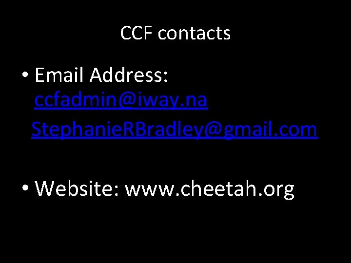 CCF contacts • Email Address: ccfadmin@iway. na Stephanie. RBradley@gmail. com • Website: www. cheetah.