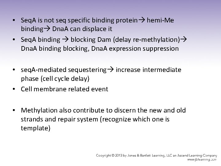  • Seq. A is not seq specific binding protein hemi-Me binding Dna. A