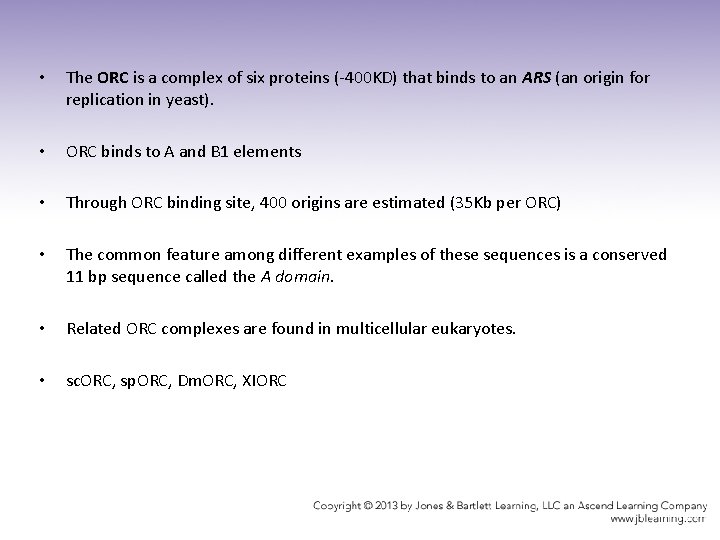  • The ORC is a complex of six proteins (-400 KD) that binds